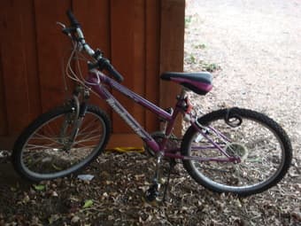 female bike for sale 1