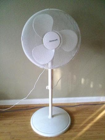 furniture for sale -- chairs, sofa, floor lamp, oscillating fan 3