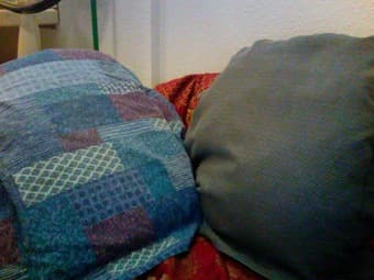 Nice pillows $ 14 each 1