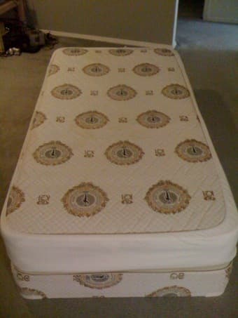 Twin size mattress and box spring - $50 1