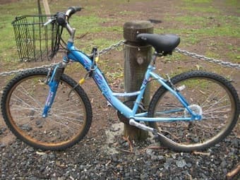 $60 Bike for sale w/ lock, cable, light, basket, newish seat & pedals 1