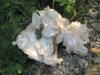 Pre-owned paper towel - $10 1