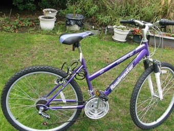 bike for 70$ 2