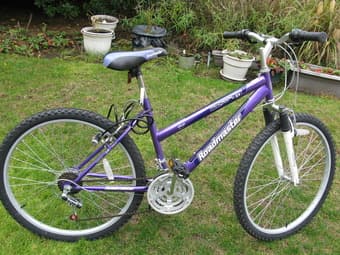bike for 70$ 3