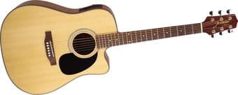 Takamine Jasmine Guitar 1