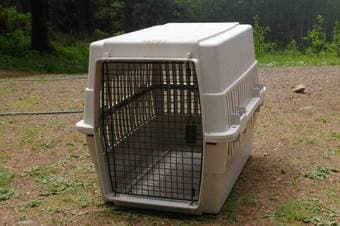 Dog Crate $75 1
