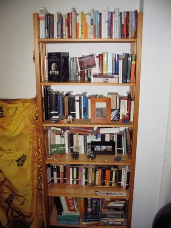 $20 Bookcase 1