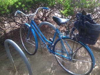 Girl Bicycle + U-lock + Basket for $160 1