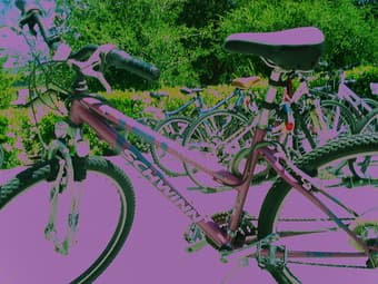 Bike - $150 2