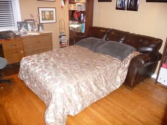 Leather Sofa with Pull-Out Bed 2