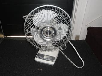 Fan---$5 1