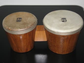Bongos - $20 1