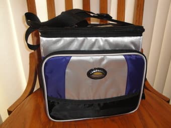 small portable cooler with two ice bag---$4 1