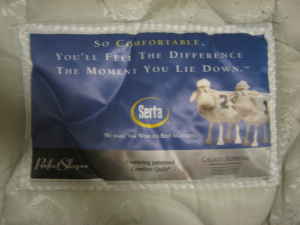 Twin Sized Serta Mattress in Good Condition - $50 1
