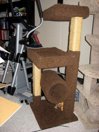 ~4 ft cat perch, three levels 1
