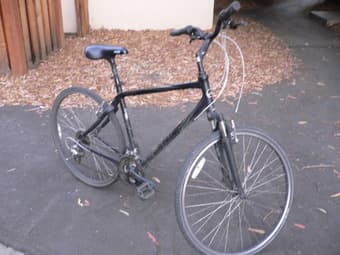 $120 Giant Bike 2