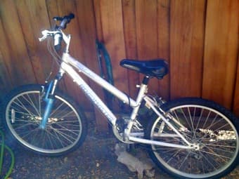 WOMEN'S BIKE - 2 MONTHS OLD 1