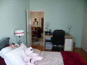 $1000 Great room + private bath avail 11/1 (mission district in SF) 1