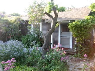 Cottage to rent for 1-2 people - $1250 ????? Available January 1 2011 1