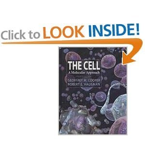 Bio core book: The Cell 1