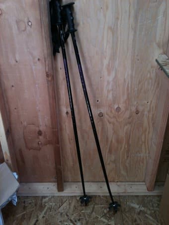 ski poles! 2