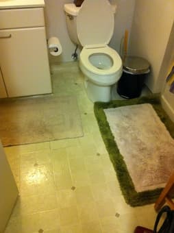 Set of 2 bathroom rugs ($3), set of 2 trashcans ($5) 1