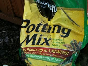4 plant boxes, perlite, and potting mix (free) 3