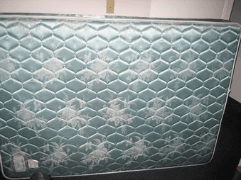 Full-size firm mattress - Clean and in very good shape/condition. $50. 1