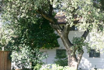 Spacious two story 5 bed for rent off University 2