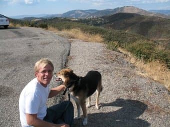 Looking for a house share for me and my dog. 2