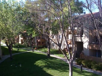 Mountain View apt. $650 1