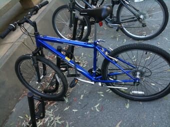 Bike ($110) 1