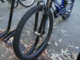 Bike ($110) 3