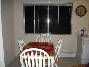 Spacious Fully Furnished 1 BR apartment in Mtn View/Sunnyvale - June 5 2