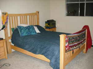 Spacious Fully Furnished 1 BR apartment in Mtn View/Sunnyvale - June 5 3