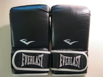 Everlast Boxing Gloves - $5 1