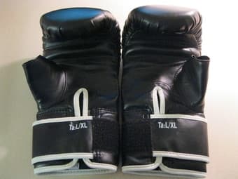 Everlast 100 lb Heavy Bag, perfect condition - $60 3