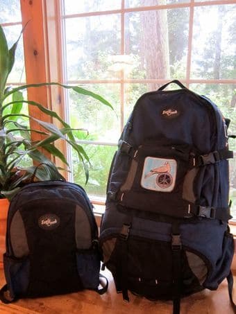 Eagle Creek New World Journey travel backpack, detachable daypack, $85 1