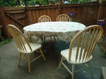 Table for EV Patio : $300-->$50 1
