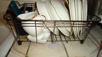 Dish Rack & holder : $7 1