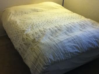 Hairdryer and queen duvet with cover 2