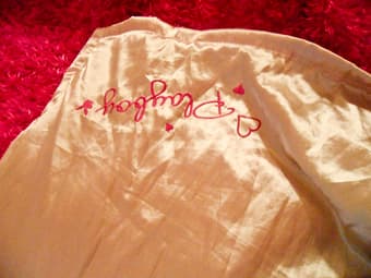 Comfortable Pink and Furry Playboy Throw :)  $5 2
