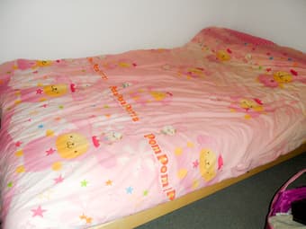 Blanket + Blanket Cover. $10 1