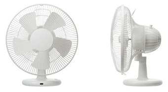 White Fan - Only $10 1