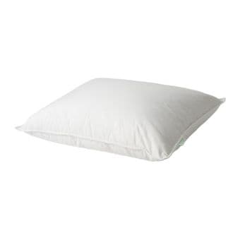 Comforter for $20 and unused pillow for $15 2