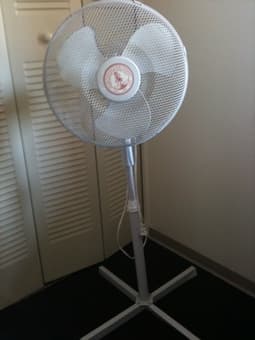 Fan 1