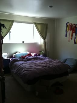 1 room sublet in a spacious beautiful 2 bedroom apartment (Belmont) 1