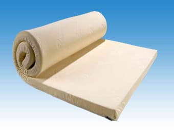 Foam Mattress - Only $10 1