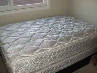 Bed, Bedside Table, Lounge Chair and More! Michigan Bound, New Prices! 1