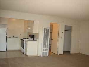 $1295 Lg Upstairs STUDIO, Move-In 10/05!! (mountain view) 2